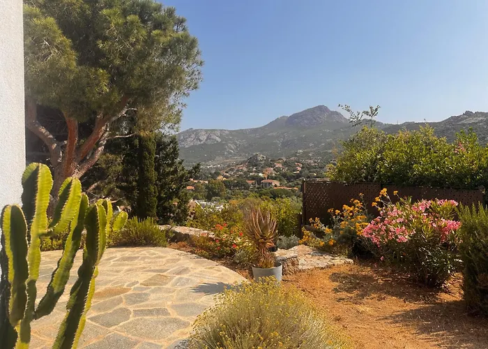 T2 Les Aloes