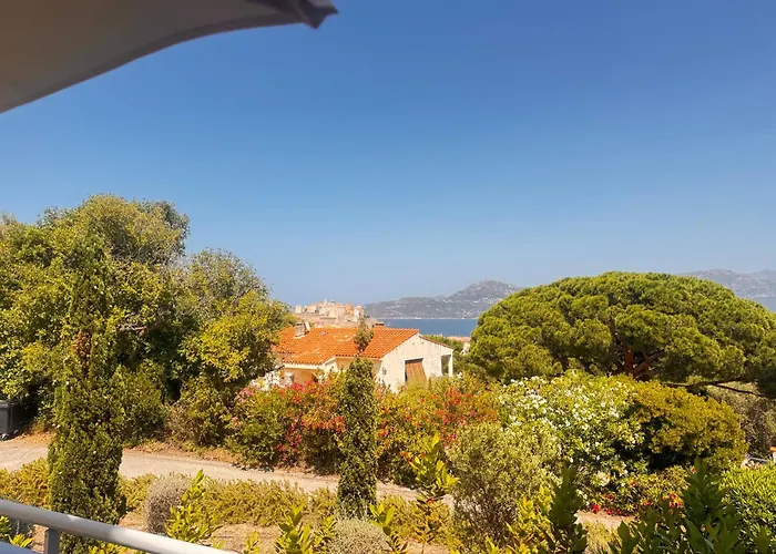 T2 Les Aloes Daire Calvi (Corsica)