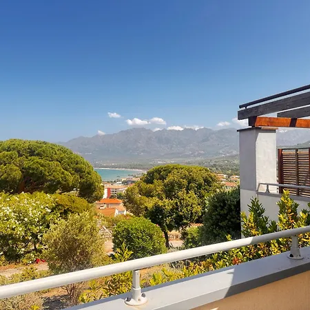 Apartment T2 Les Aloes Calvi (Corsica)