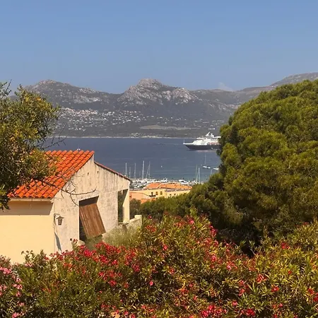 Apartment Appartement Calvi